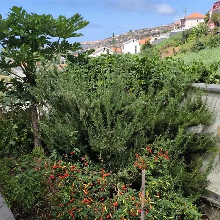 Casa Panorama Sol 蓬他达维托亚