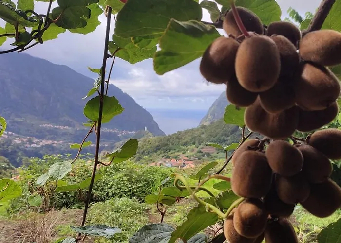 Nyaraló Casa Panorama Sol Ponta do Sol