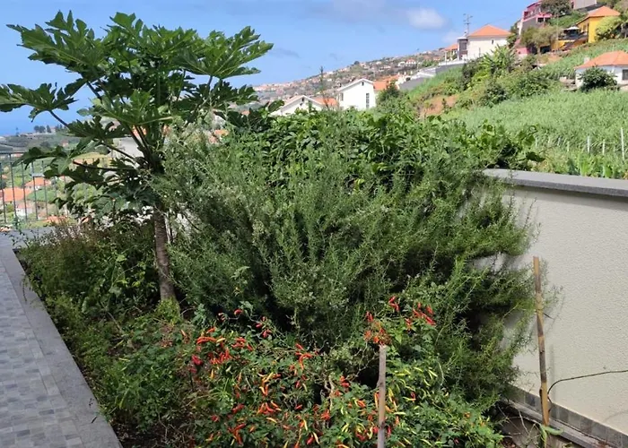 Casa Panorama Sol Ponta do Sol